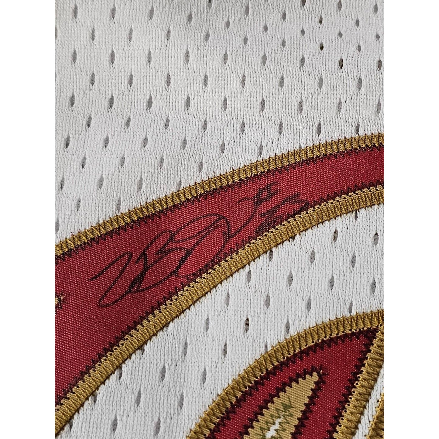 LeBron James Autographed/Signed Jersey JSA LOA Cleveland Cavaliers